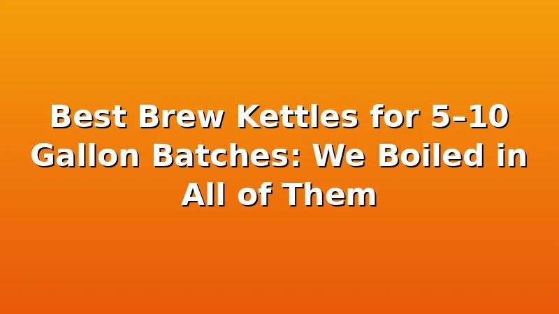 Best Brew Kettles for 5–10 Gallon Batches: We Boiled in All of Them - MaltDock review with measurements and honest opinion